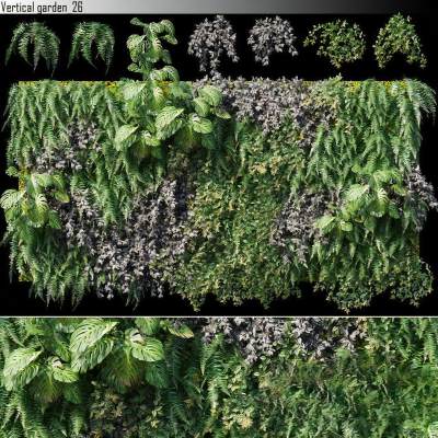 现代植物墙